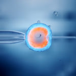 ¿Cuánto tiempo se necesita para hacer un ciclo de Fecundación in vitro?¿Cuántas fases tiene y cuánto dura cada fase de una FIV?