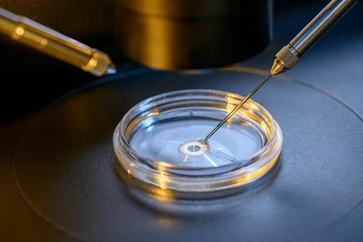 Oportuno Excluir Zapatos Cuál es el porcentaje de éxito de la fertilización in vitro? - En busca del embarazo Oportuno Excluir Zapatos Cuál es el porcentaje de éxito de la fertilización in vitro? - En busca del embarazo