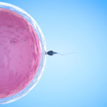 Embriones calidad C: preguntas y respuestas