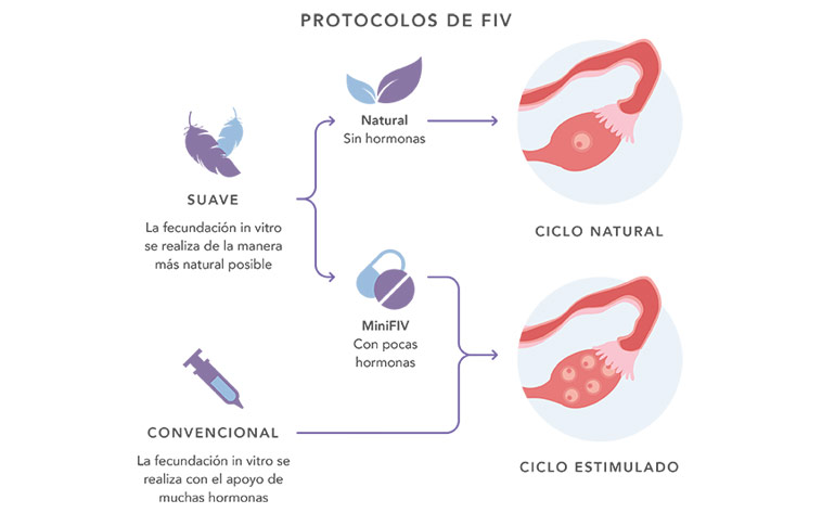 Protocolos de FIV